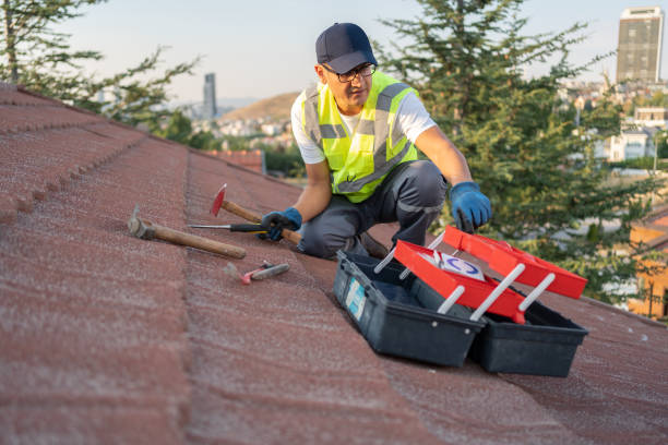 Best Siding Painting and Refinishing  in Butner, NC